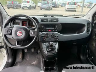 FIAT Panda usata 9