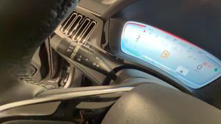 BYD Seal usata, con Servosterzo