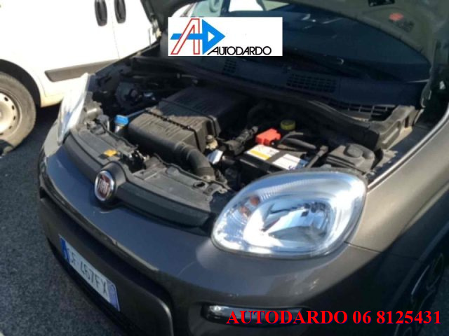 FIAT Panda usata 12