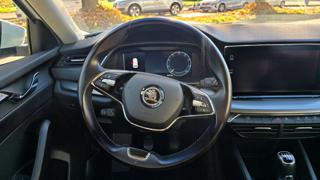 SKODA Octavia usata, con Servosterzo