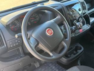 FIAT Ducato usata 5