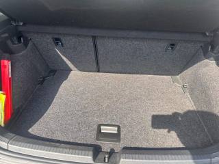 VOLKSWAGEN Polo usata, con Park Distance Control