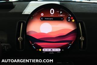 MINI Countryman usata, con Filtro antiparticolato
