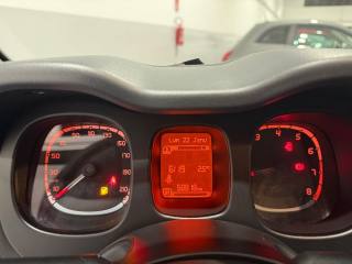 FIAT Panda usata 14