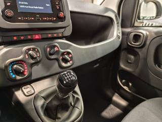 FIAT Panda usata 15