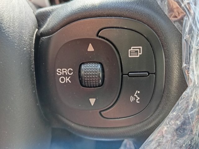 FIAT Panda Cross usata, con Specchietti laterali elettrici