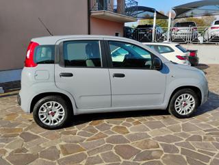 FIAT Panda usata, con Airbag