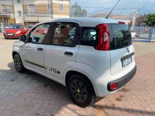 FIAT Panda usata, con Controllo trazione