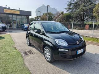 FIAT Panda usata, con Controllo trazione