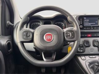 FIAT Panda usata 12