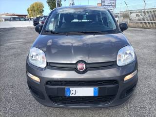 FIAT Panda usata, con Airbag