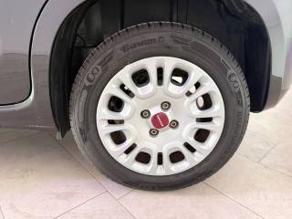 FIAT Panda usata 14