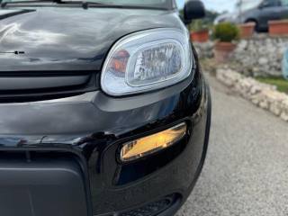 FIAT Panda usata, con Controllo elettronico della corsia