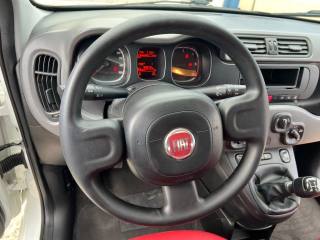 FIAT Panda usata 11