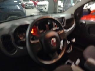 FIAT Panda usata 15