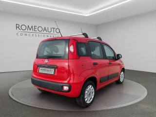 FIAT Panda usata, con Chiusura centralizzata