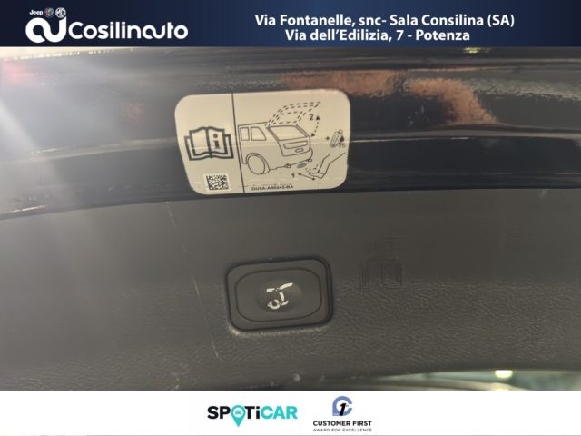 FORD Edge usata, con Vetri oscurati