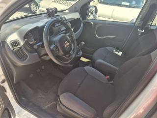 FIAT Panda usata, con Controllo trazione