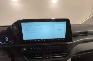 FORD Transit Custom usata 14