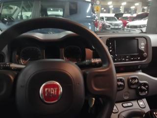 FIAT Panda usata 18