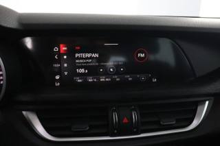 ALFA ROMEO Stelvio usata 10