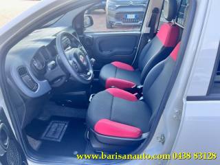 FIAT Panda usata, con Alzacristalli elettrici