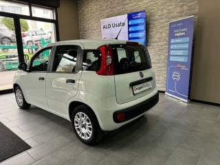 FIAT Panda usata, con Controllo trazione