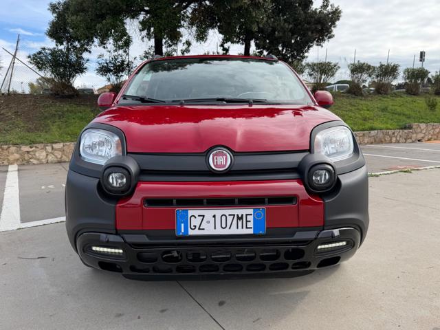 FIAT Panda Cross usata, con Airbag testa