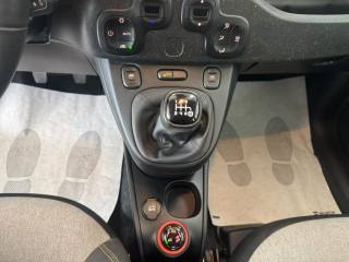 FIAT Panda Cross usata, con Trazione integrale