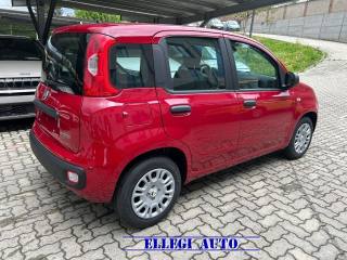 FIAT Panda usata, con Controllo trazione