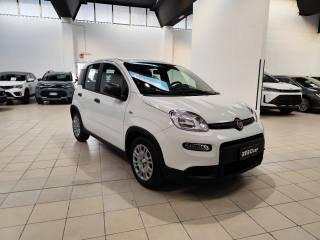 FIAT Panda usata, con Airbag Passeggero