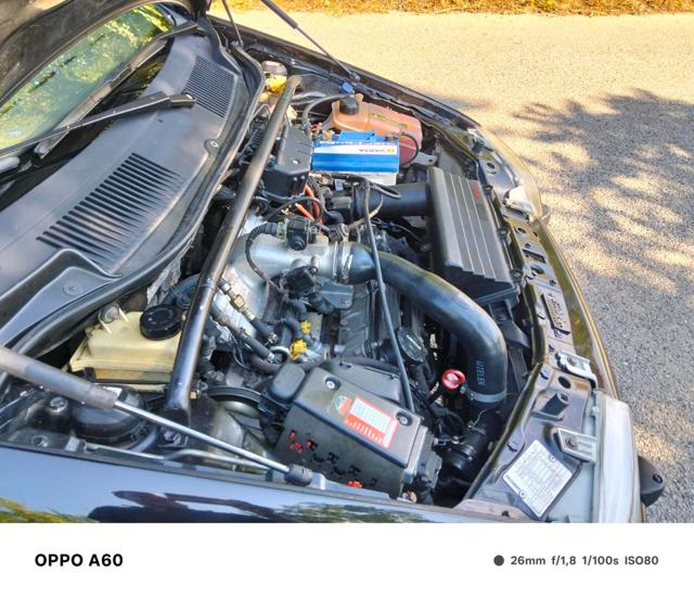 FIAT Punto usata 28