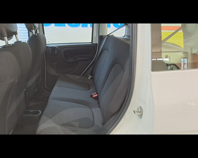 FIAT New Panda usata 17