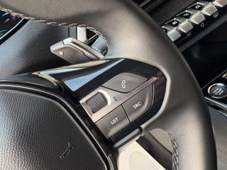 PEUGEOT 3008 usata, con Vetri oscurati