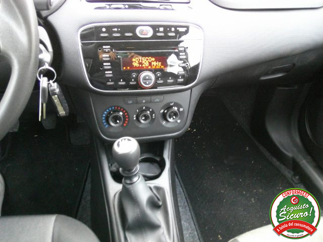 FIAT Punto usata 16