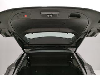 DS AUTOMOBILES DS 7 usata, con Sistema di navigazione