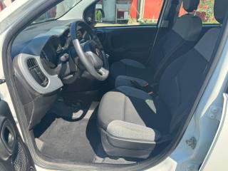 FIAT Panda usata, con ESP