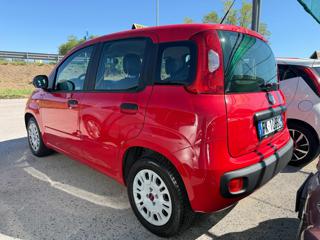FIAT Panda usata, con Airbag Passeggero