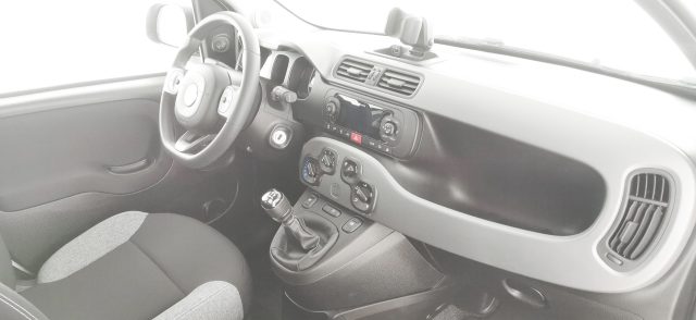 FIAT Panda usata 55