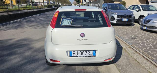 FIAT Punto usata, con Chiusura centralizzata