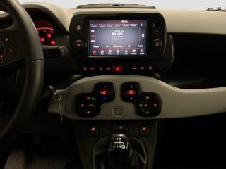 FIAT Panda usata 15
