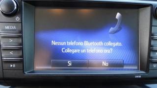 TOYOTA RAV 4 usata 101