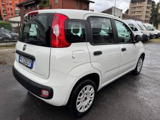 FIAT Panda usata, con Alzacristalli elettrici
