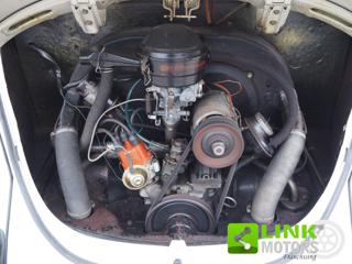 VOLKSWAGEN Maggiolino usata 23