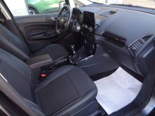 FORD EcoSport usata, con Fendinebbia
