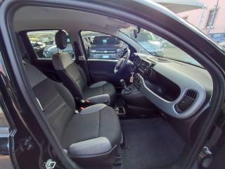 FIAT Panda usata, con Fendinebbia