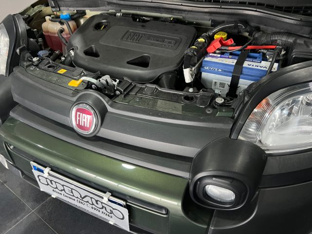 FIAT Panda Cross usata, con Cronologia tagliandi