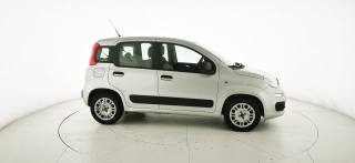 FIAT Panda usata 19