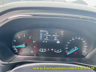FORD Focus usata, con Cruise Control