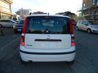 FIAT Panda usata, con Boardcomputer